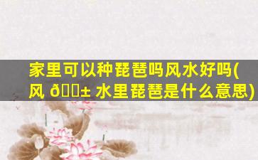 家里可以种琵琶吗风水好吗(风 🐱 水里琵琶是什么意思)